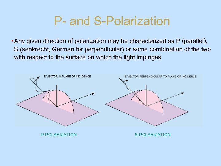 P- and S-Polarization • Any given direction of polarization may be characterized as P