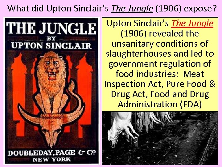 What did Upton Sinclair’s The Jungle (1906) expose? Upton Sinclair’s The Jungle (1906) revealed