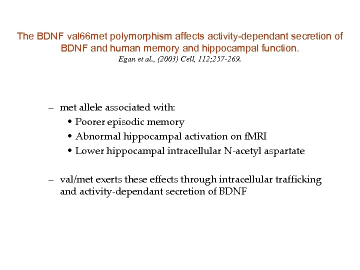 The BDNF val 66 met polymorphism affects activity-dependant secretion of BDNF and human memory