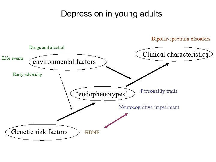 Depression in young adults Bipolar-spectrum disorders Drugs and alcohol Life events Clinical characteristics environmental