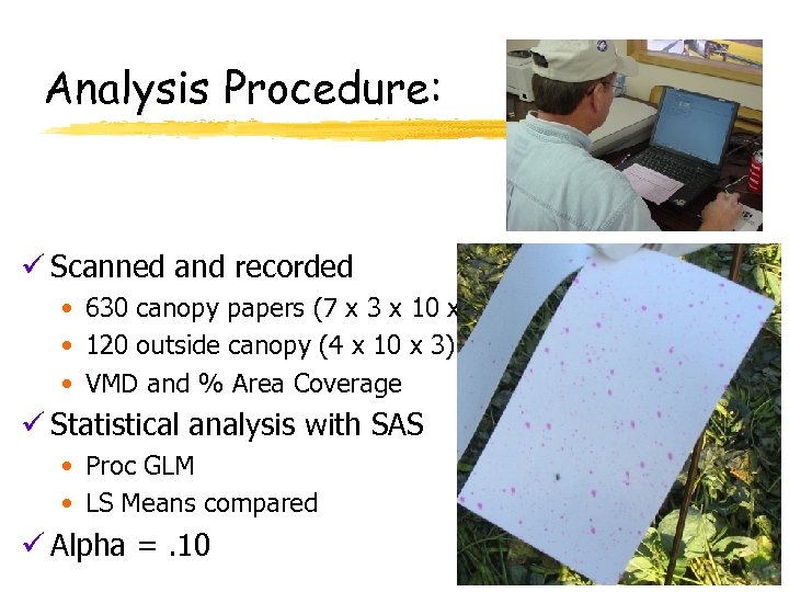 Analysis Procedure: ü Scanned and recorded • 630 canopy papers (7 x 3 x