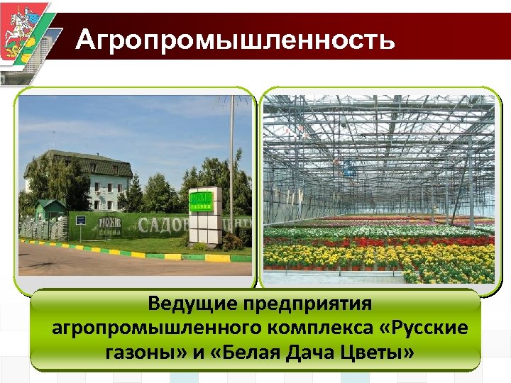 Агропромышленность Ведущие предприятия агропромышленного комплекса «Русские газоны» и «Белая Дача Цветы» 