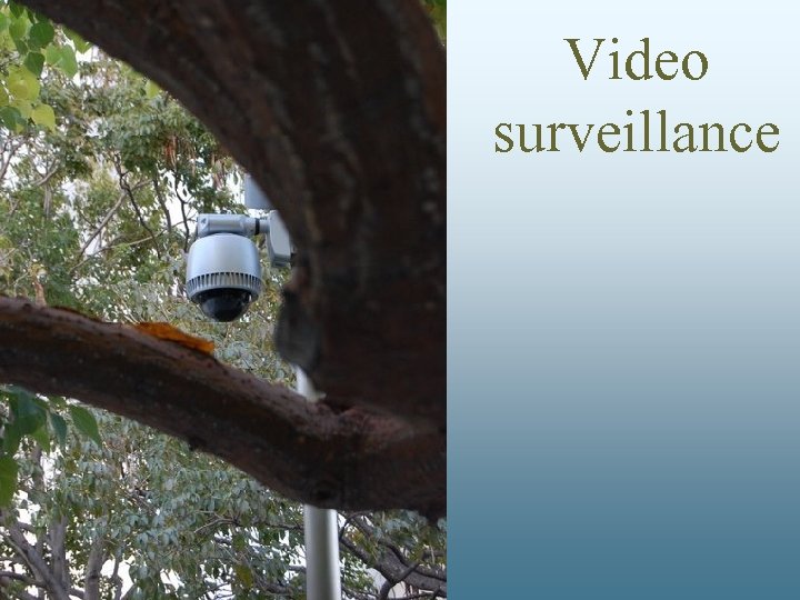 Video surveillance 