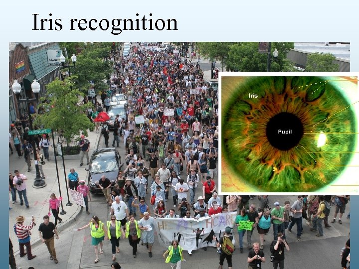 Iris recognition 