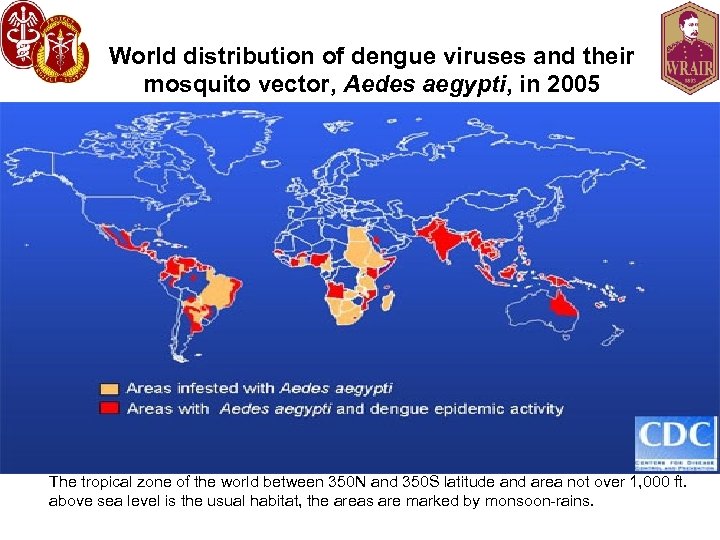 World distribution of dengue viruses and their mosquito vector, Aedes aegypti, in 2005 The