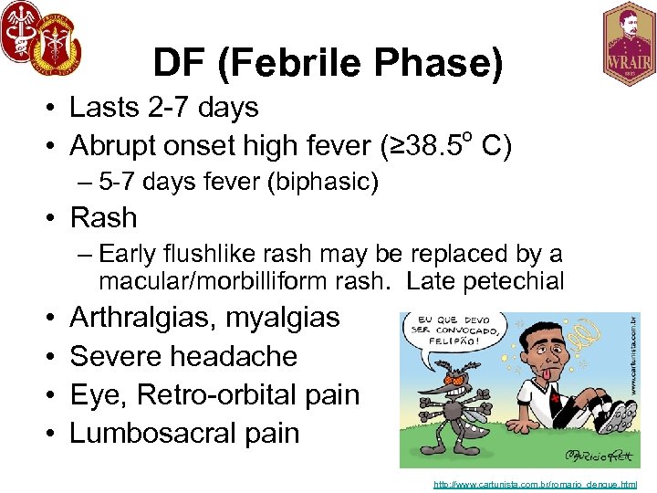 DF (Febrile Phase) • Lasts 2 -7 days o • Abrupt onset high fever