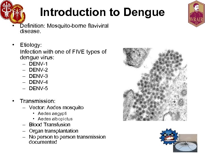 Introduction to Dengue • Definition: Mosquito-borne flaviviral disease. • Etiology: Infection with one of