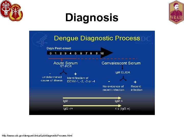 Diagnosis http: //www. cdc. gov/dengue/clinical. Lab/diagnostic. Process. html 