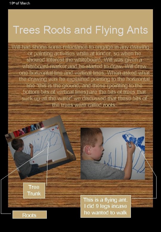 18 th of March Trees Roots and Flying Ants Will had shone some reluctance