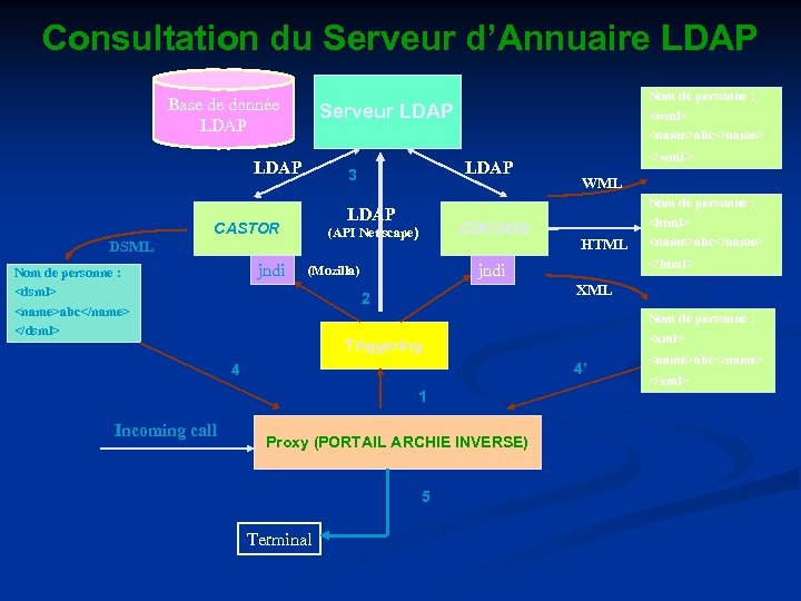 Consultation du Serveur d’Annuaire LDAP Base de donnée LDAP Serveur LDAP COCOON (API Net