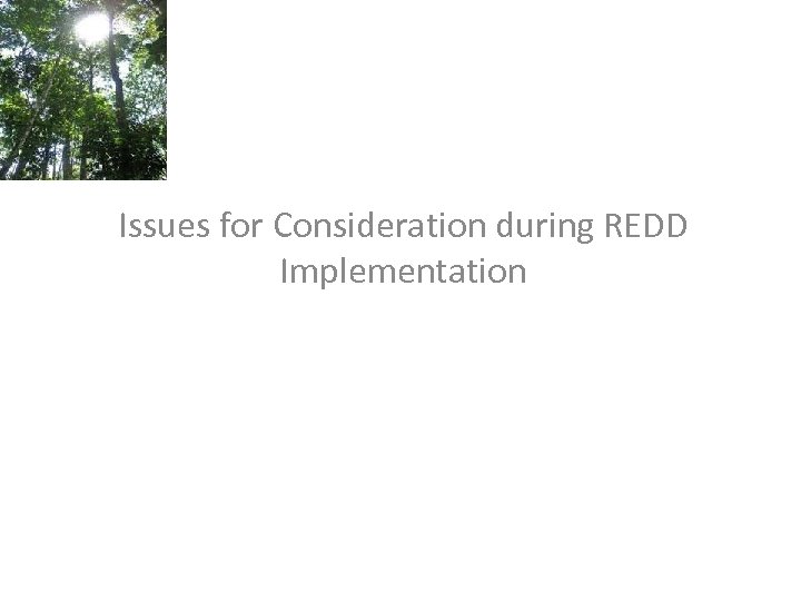 Issues for Consideration during REDD Implementation 