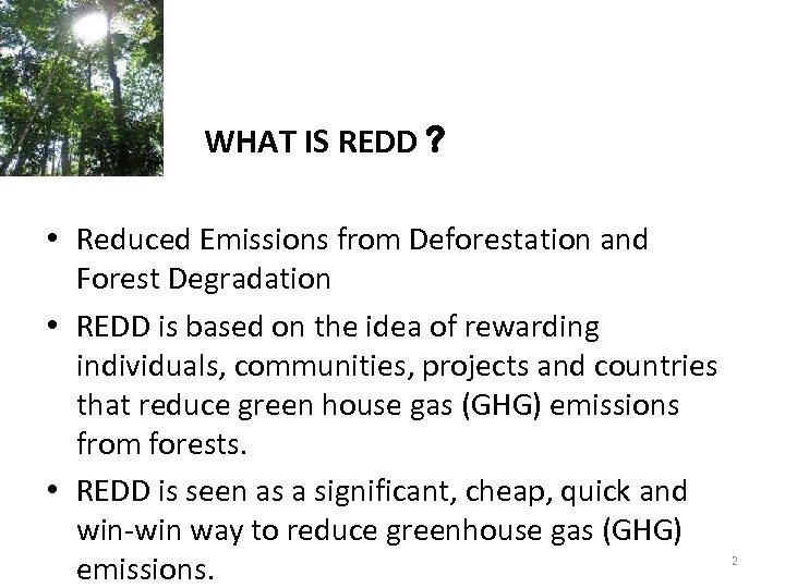 WHAT IS REDD ? • Reduced Emissions from Deforestation and Forest Degradation • REDD