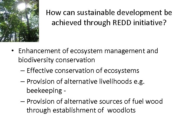 How can sustainable development be achieved through REDD initiative? • Enhancement of ecosystem management
