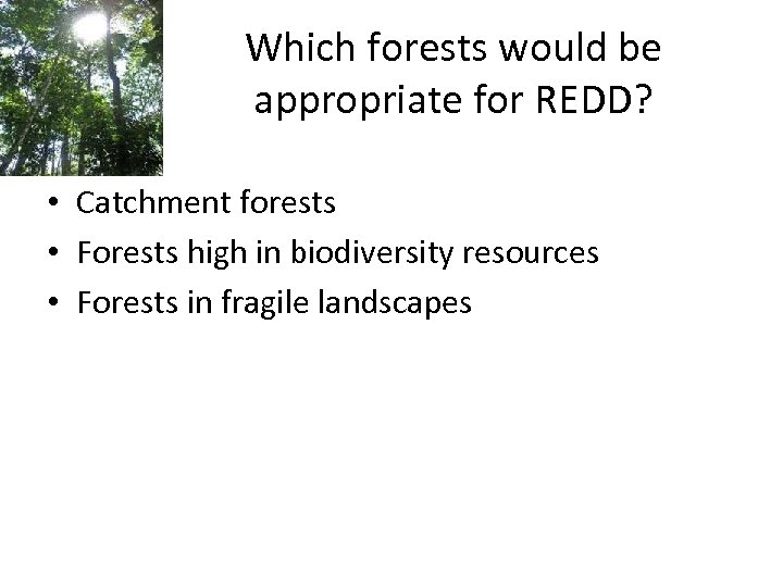 Which forests would be appropriate for REDD? • Catchment forests • Forests high in