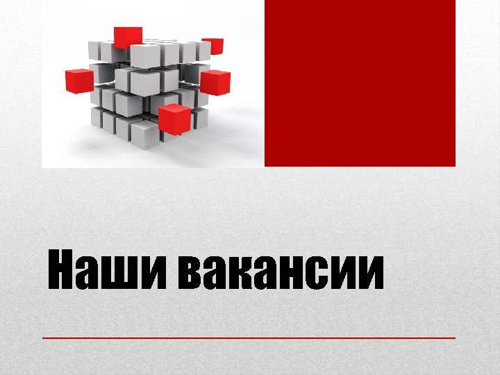 Наши вакансии 