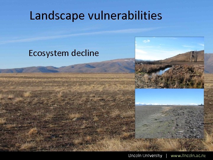 Landscape vulnerabilities Ecosystem decline Lincoln University | www. lincoln. ac. nz 