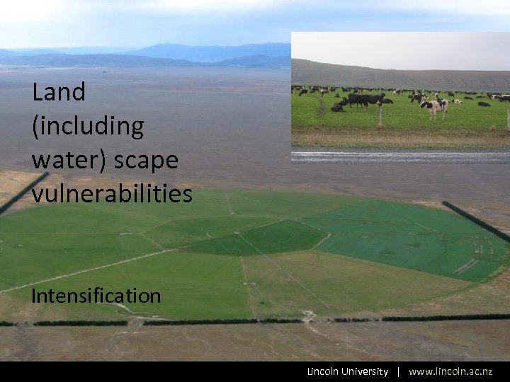 Land (including water) scape vulnerabilities Intensification Lincoln University | www. lincoln. ac. nz 