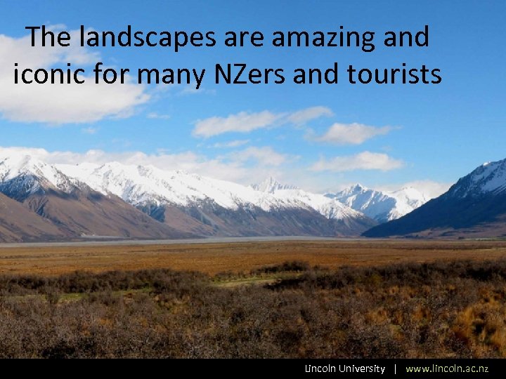 The landscapes are amazing and iconic for many NZers and tourists Lincoln University |