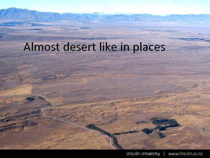Almost desert like in places Lincoln University | www. lincoln. ac. nz 