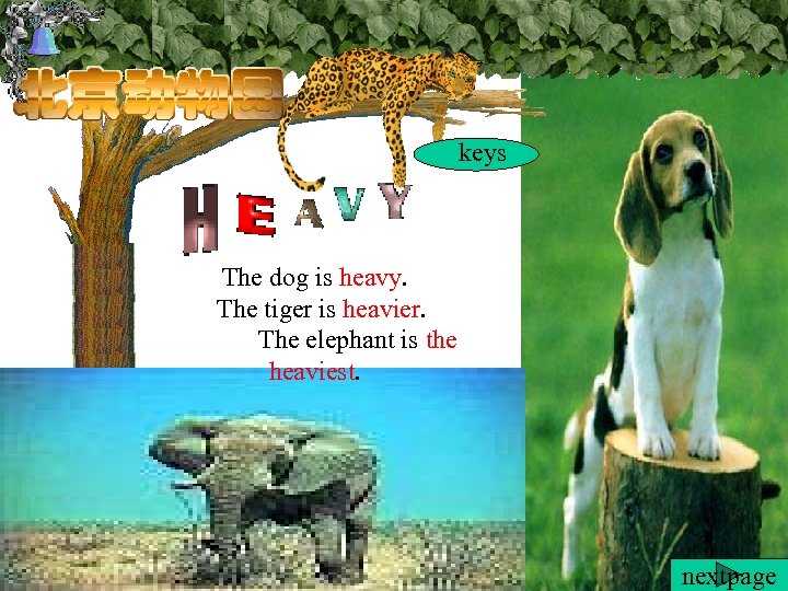 keys The dog is heavy. The tiger is heavier. The elephant is the heaviest.