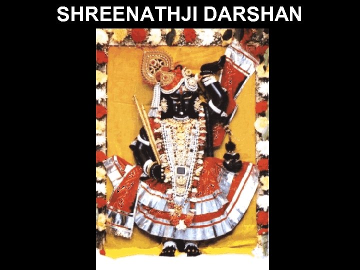 SHREENATHJI DARSHAN 