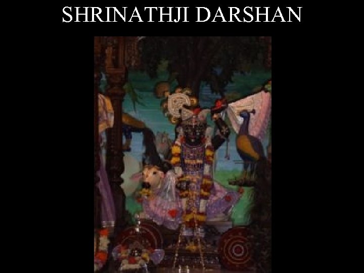 SHRINATHJI DARSHAN 