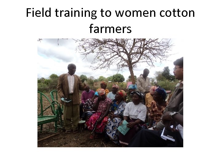 Field training to women cotton farmers 