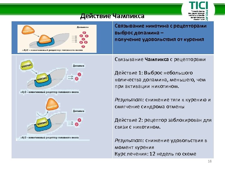 Действие Чампикса Связывание никотина с рецепторами выброс допамина – получение удовольствия от курения Связывание