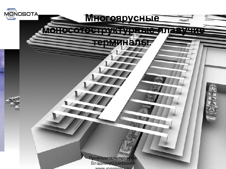 Многоярусные моносотоструктурные плавучие терминалы. Руководитель проектов Владимир. Шумовский 