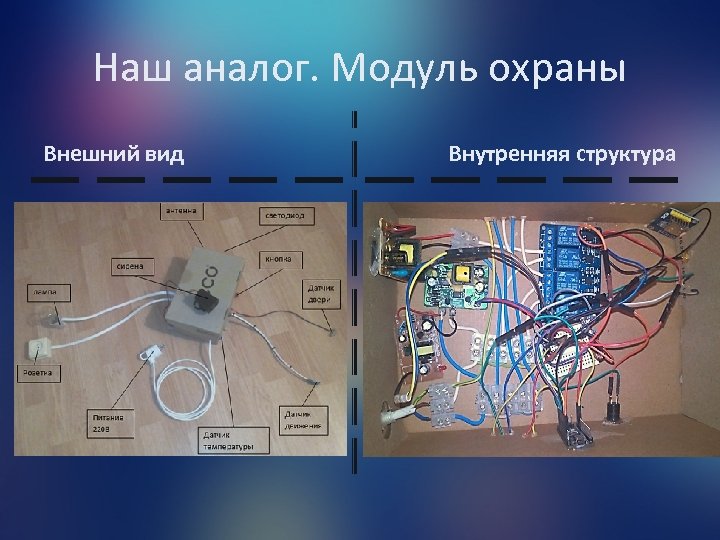 Наш аналог. Модуль охраны Внешний вид Внутренняя структура 