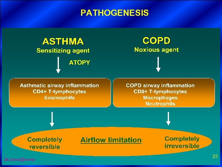 PATHOGENESIS 1. Definition -key points 2. Burden of COPD 3. Classification ATOPY 4. Risk