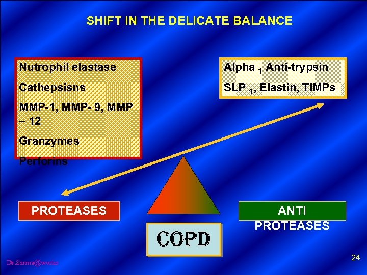SHIFT IN THE DELICATE BALANCE Nutrophil elastase Alpha 1 Anti-trypsin Cathepsisns SLP 1, Elastin,