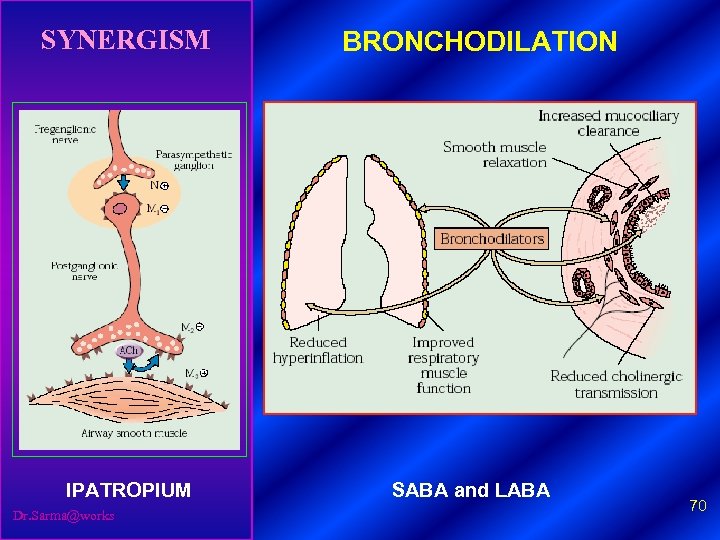 SYNERGISM IPATROPIUM Dr. Sarma@works BRONCHODILATION SABA and LABA 70 