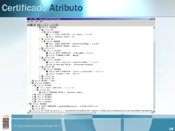 Certificado Atributo http: //openpmi. sourceforge. net 19 