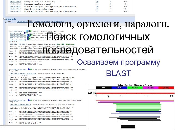 Гомологи, ортологи, паралоги. Поиск гомологичных последовательностей Осваиваем программу BLAST 