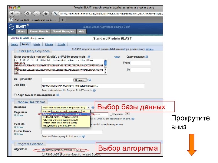 Выбор базы данных Прокрутите вниз Выбор алгоритма 