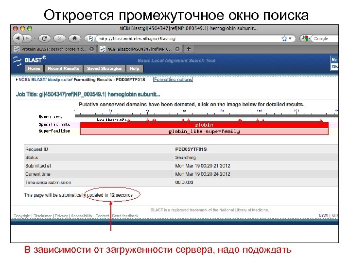 Откроется промежуточное окно поиска В зависимости от загруженности сервера, надо подождать 