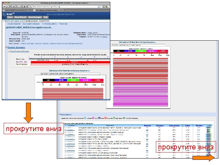 прокрутите вниз 