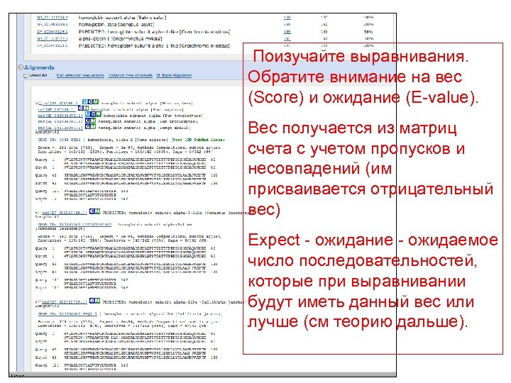 Поизучайте выравнивания. Обратите внимание на вес (Score) и ожидание (E-value). Вес получается из матриц
