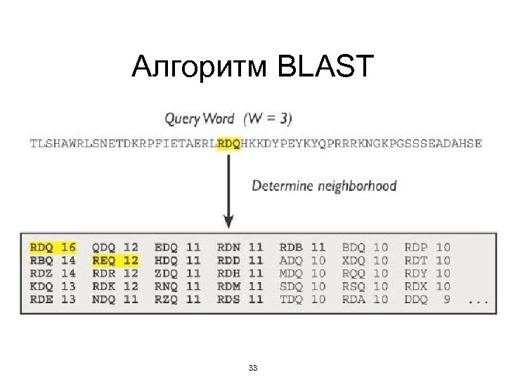 Алгоритм BLAST 33 