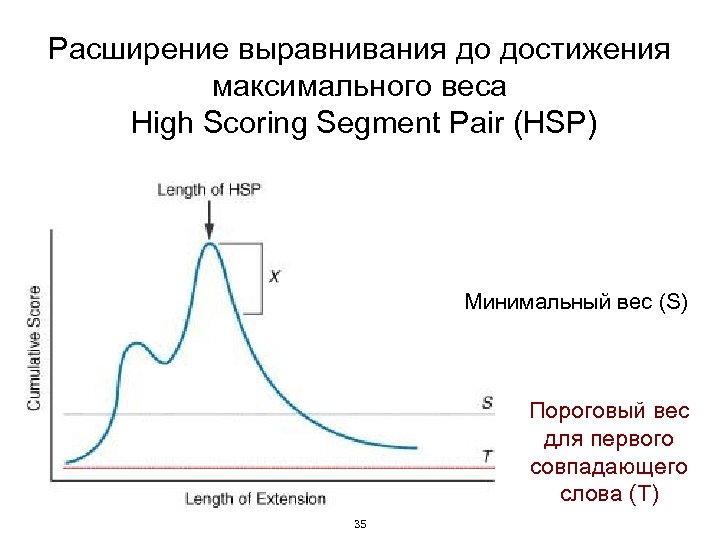 Расширение выравнивания до достижения максимального веса High Scoring Segment Pair (HSP) Минимальный вес (S)
