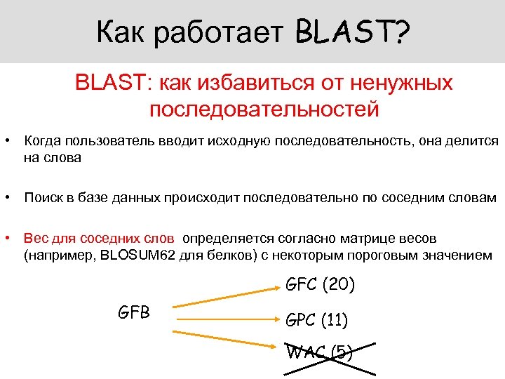 Как работает BLAST? BLAST: как избавиться от ненужных последовательностей • Когда пользователь вводит исходную