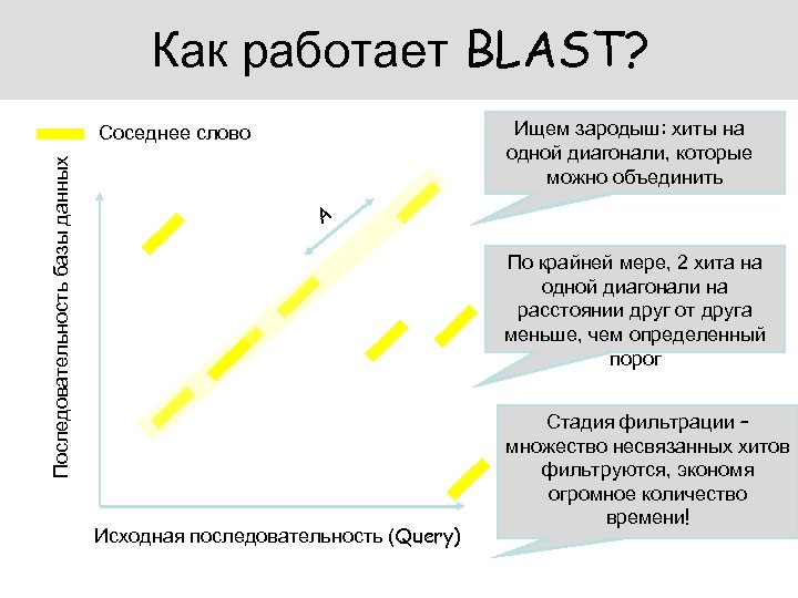Как работает BLAST? Ищем зародыш: хиты на одной диагонали, которые можно объединить Последовательность базы