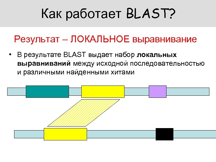 Как работает BLAST? Результат – ЛОКАЛЬНОЕ выравнивание • В результате BLAST выдает набор локальных