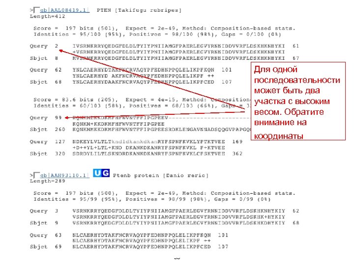 Для одной последовательности может быть два участка c высоким весом. Обратите внимание на координаты