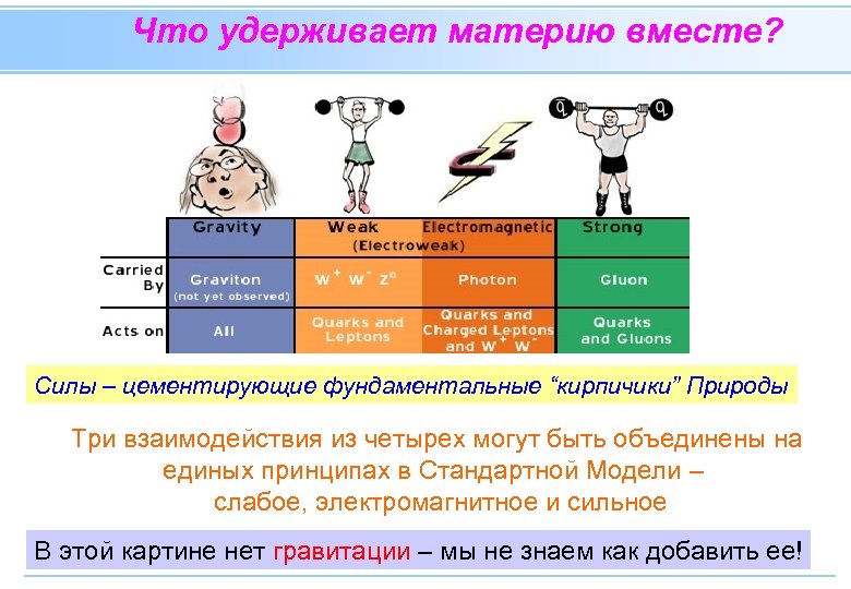 Что удерживает материю вместе? Силы – цементирующие фундаментальные “кирпичики” Природы Три взаимодействия из четырех