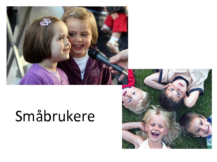 Småbrukere 