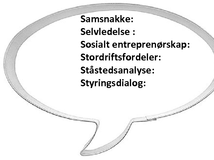 Samsnakke: Selvledelse : Sosialt entreprenørskap: Stordriftsfordeler: Ståstedsanalyse: Styringsdialog: 