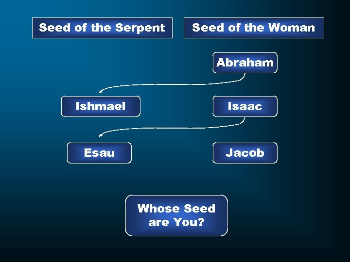 Seed of the Serpent Seed of the Woman Abraham Ishmael Isaac Esau Jacob Whose