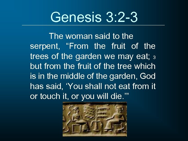 Genesis 3: 2 -3 The woman said to the serpent, “From the fruit of